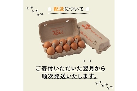 【3回定期便】赤たまご 30個定期便 【卵定期便】  [019MF002R]  