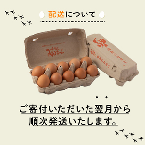  【12回定期便】赤たまご 30個定期便 【卵定期便】[076MF002R]  