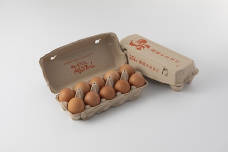 【3回定期便】赤たまご 20個定期便 【卵定期便】  [013MF001R]  