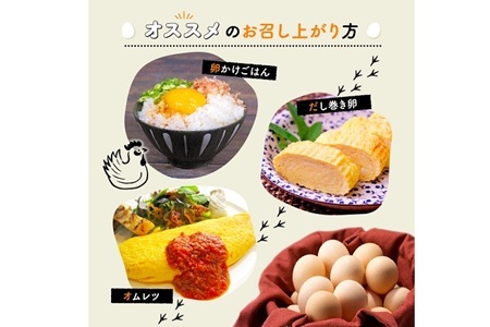 京丹波 赤たまご 80個  約5kg【卵】 [010MF004]