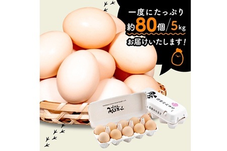 京丹波 赤たまご 80個  約5kg【卵】 [010MF004]