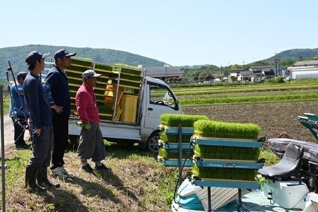 《 先行予約 》 きぬひかり 京丹波町産 15kg 令和8年産米
