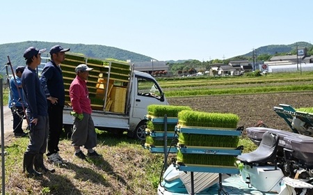 【3回定期便】《 先行予約 》 きぬひかり 京丹波町産 10kg 3カ月定期便 合計30kg 令和8年産米