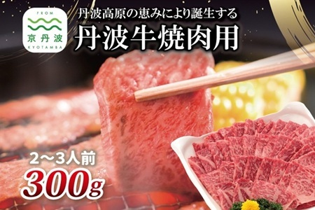 【京丹波・丹波牛】 丹波牛 焼肉用 300g 2～3人前 【 黒毛和牛 国産牛 焼肉 丹波牛 赤身 霜降り 焼肉のタレ付き たれ 京都 丹波 いづつ屋 】 【2026年1月中旬以降発送】 [015IZ003]