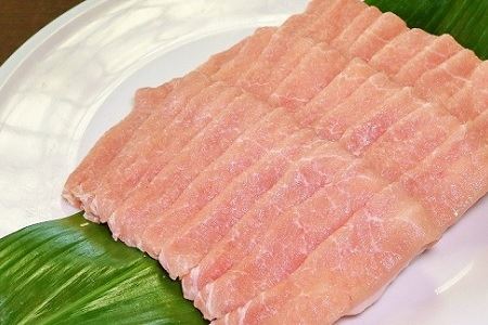 【2026年1月中旬以降発送】 京丹波高原豚 豚 ロース スライス 800g ※北海道・沖縄・その他離島は配送不可 [010IZ002]