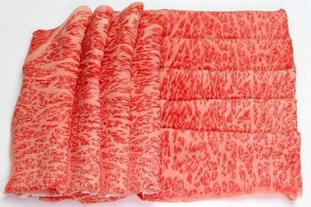 【6ヶ月定期便】丹波牛を味わう 定期便B  ( 丹波牛定期便 食べ比べ定期便 牛肉定期便 焼肉 すき焼き しゃぶしゃぶ 定期便 ローストビーフ付き定期便 ブロック 肉 A5 ランク 牛 冷凍 定期便 京都 京丹波町 定期便 ) [220IZ001R]