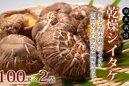 乾燥シイタケ詰め合わせ 原木栽培 天然 しいたけ 京都 京丹波町産 椎茸 [010TS001]