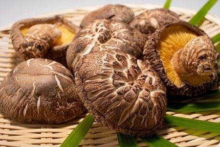 乾燥シイタケ詰め合わせ 原木栽培 天然 しいたけ 京都 京丹波町産 椎茸 [010TS001]