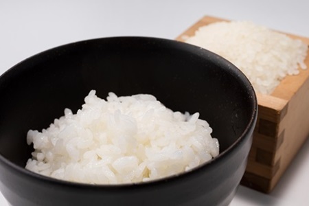 【6回定期便】 京丹波こしひかり 5kg×連続6カ月 令和7年産   [060MB003R]