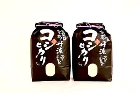 【6回定期便】 京丹波こしひかり 10kg×6カ月連続  令和7年産【お米定期便】 [090MB003R]