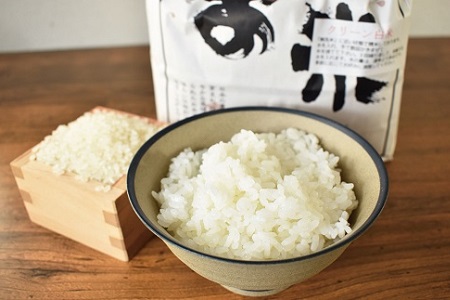 【京丹波のお米】ほたるの里のこしひかり 2kg×5袋（総量10kg） [018HS001L]