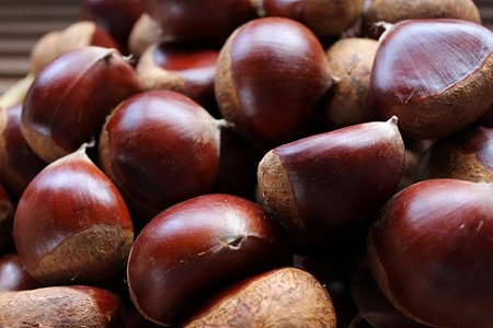 渋皮栗のパウンドケーキ 丹波栗 スイーツ 低温熟成栗使用 国産 くり 栗 渋皮栗 パウンドケーキ 京都 京丹波 濃厚 ご当地グルメ お取り寄せ ギフト 菓歩菓歩 capocapo ※北海道・沖縄・その他離島は配送不可 [015NA005]