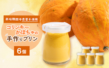 栽培期間中、農薬を使わず自家栽培した「コリンキーかぼちゃ」使用の手作りプリン　6個_菓子・スイーツ プリン  _【配送不可地域：離島】【1550987】