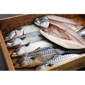 橋立やまいち自慢　旨みたっぷりふっくら塩サバ(大)×2本_魚介・海産物   _【配送不可地域：離島・北海道・沖縄県】【1583692】