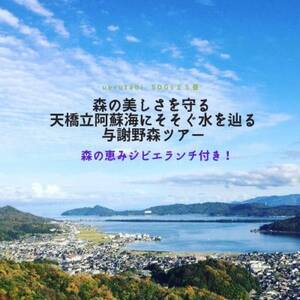 森の美しさを守る 天橋立阿蘇海にそそぐ水を辿る『与謝野森ツアー』森の恵みジビエランチ付き!_旅行券・チケット  体験チケット _【1573092】