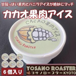 カカオ果肉入りアイス　バニラアイスと甘酸っぱい果肉が相性バツグンのアイスクリーム　京都与謝野町より【配送不可地域：離島】【1623418】