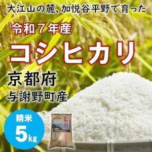 令和7年産米　大江山の麓、京都府与謝野町で育った丹後産コシヒカリ　精米5kg　おいしいお米を農家直送【1632450】