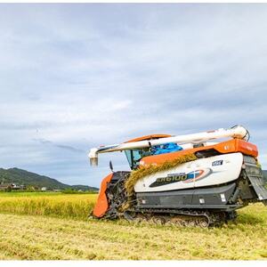 令和7年産米「京の豆っこ米」精米5kg　低農薬コシヒカリ　京都与謝野町　【伊達農園】【1636551】