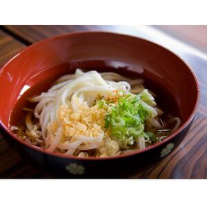 へじや製麺のうどん生麺10食セット 細麺タイプ　ぶっかけ(冷)用特製だしつゆ付【配送不可地域：離島】【1637102】