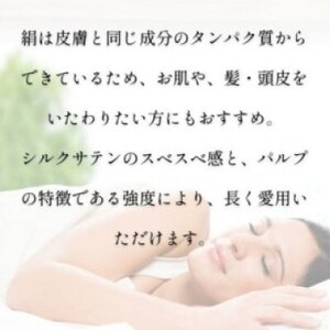 洗える抗菌シルク和紙 枕カバー 2枚セット【宮眞】肌にやさしい、美容・ヘアケアにぴったり【1668938】