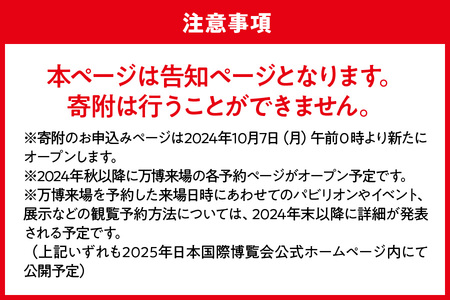 （10月7日受付開始）2025年日本国際博覧会入場チケット　通期パス（大人）　