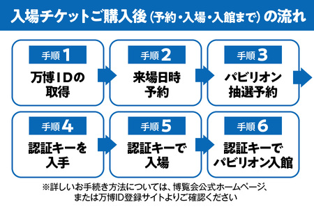 （10月7日受付開始）2025年日本国際博覧会入場チケット　一日券（大人）　