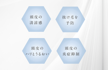 プテロシャンプークール_OS058-0003