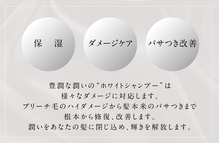 アペルタムシャンプーリッチモイスチャー レフィル シャンプー _OS058-0008