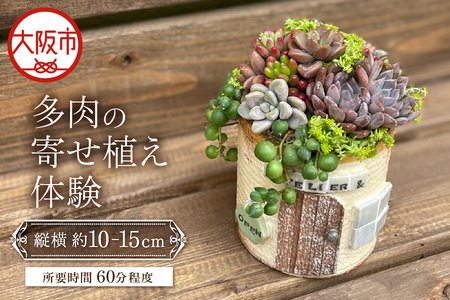 【にじたま園芸部】多肉の寄せ植え体験_OS110-0002