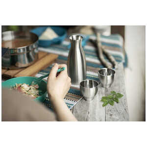 【 ピーコック 】【 グッドデザイン賞受賞 】酒器セット ACF-38_OS155-0030