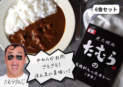 【 TKF 】大阪名物 とろとろのお肉ごろごろの焼肉たむらのカレー 6個入り_OS158-0001