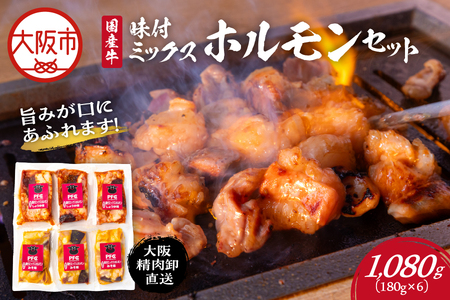 【PFC】大阪精肉卸直送 国産牛味付ミックスホルモンセット_OS170-0002