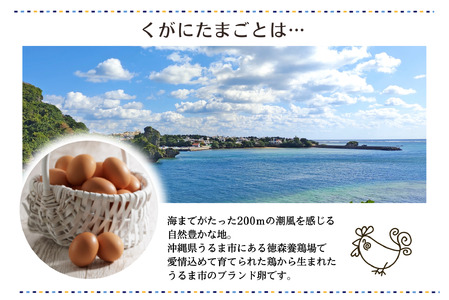 【 大阪喜安 】くがにたまごのバスクチーズケーキ スイーツ_OS186-0001