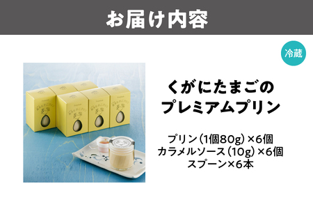 【 大阪喜安 】くがにたまごのプレミアムプリン・6個_OS186-0005