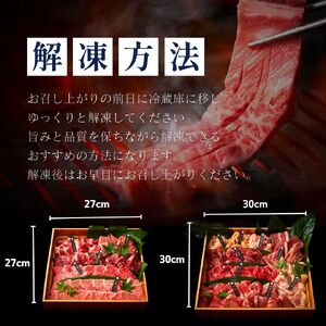 【 梅田白雲台 】大阪 鶴橋 焼肉三昧セット 2.2kg 【 3種類のタレ付き 】_OS192-0014
