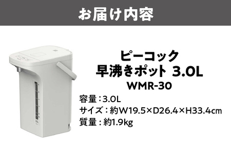 早沸きポット 3.0L アッシュホワイト 保温 再沸騰機能付_OS155-0028