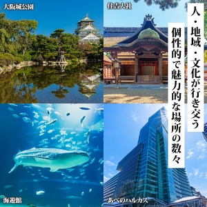 【 大阪ツアー 】大阪府 大阪市 旅行クーポン 900,000円分_OS179-0006