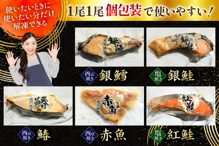 天然焼魚 詰合せ 5種 10パック 湯煎で簡単！ 焼き魚_OS212-0001