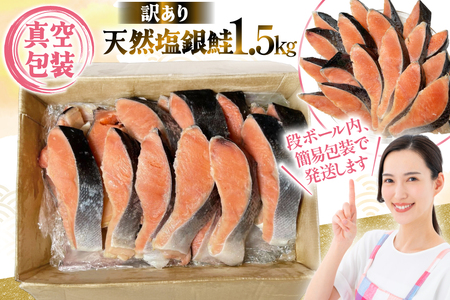 訳あり 天然銀鮭 1.5kg 訳あり鮭 _OS212-0004