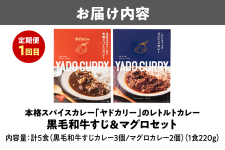 【3回定期便】毎月違うカレーが届く♪カレー食べ比べ定期便_OS999-0050