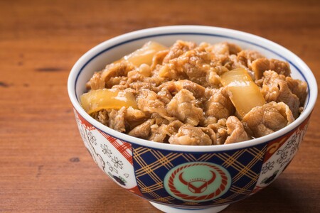 吉野家 ミニ牛丼の具 10食セット_OS303-0003