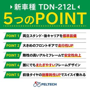 PELTECH（ペルテック）ノーパンク 折り畳み電動アシスト自転車 20インチ折り畳み外装6段変速 （TDN-212LN）【簡易組立必要】【マットグレイ】