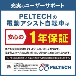 【100％完成納品】PELTECH（ペルテック）後チャイルドシート付子供乗せ適用電動アシスト自転車 20型内装3段 TDN-207LP-8 AH-CH【マットカーキ】