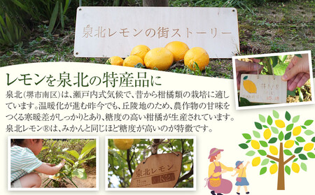 泉北レモン(R)クラフトコーラ 2本セット