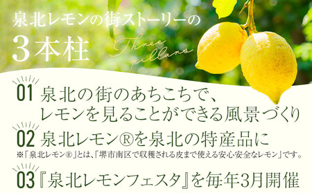 泉北レモン(R)クラフトコーラ 3本セット