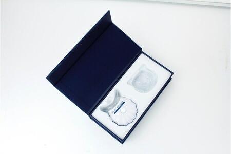 プラチナムラボ　プロテクトフォース デラックス　LEDライト　ホームホワイトニング