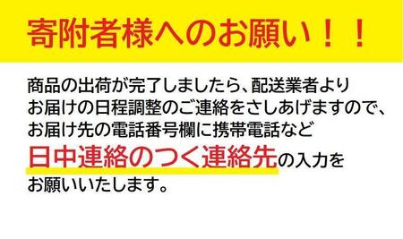 ヱビス自転車　子供自転車　エッセ24-A　マカロンブルー