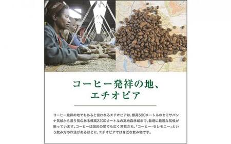 【豆】#123 エチオピア モカ シャキッソ ナチュラル G1 コーヒー豆 310g 当日焙煎 大山珈琲