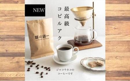 最高級コーヒー コピルアク 100g【豆状】 | 大阪府堺市 | ふるさと納税サイト「ふるなび」