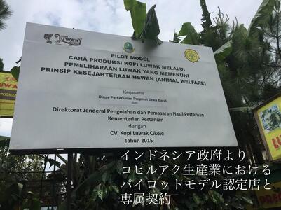 最高級コーヒー コピルアク 100g【中細挽き(サイフォン)】